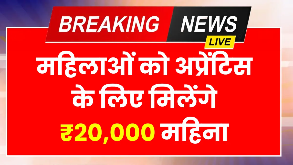 WCD Apprenticeship 2026